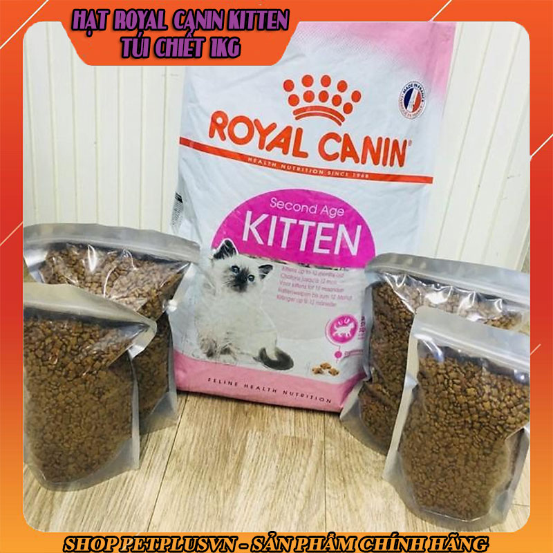 royal-canin-kitten-1kg