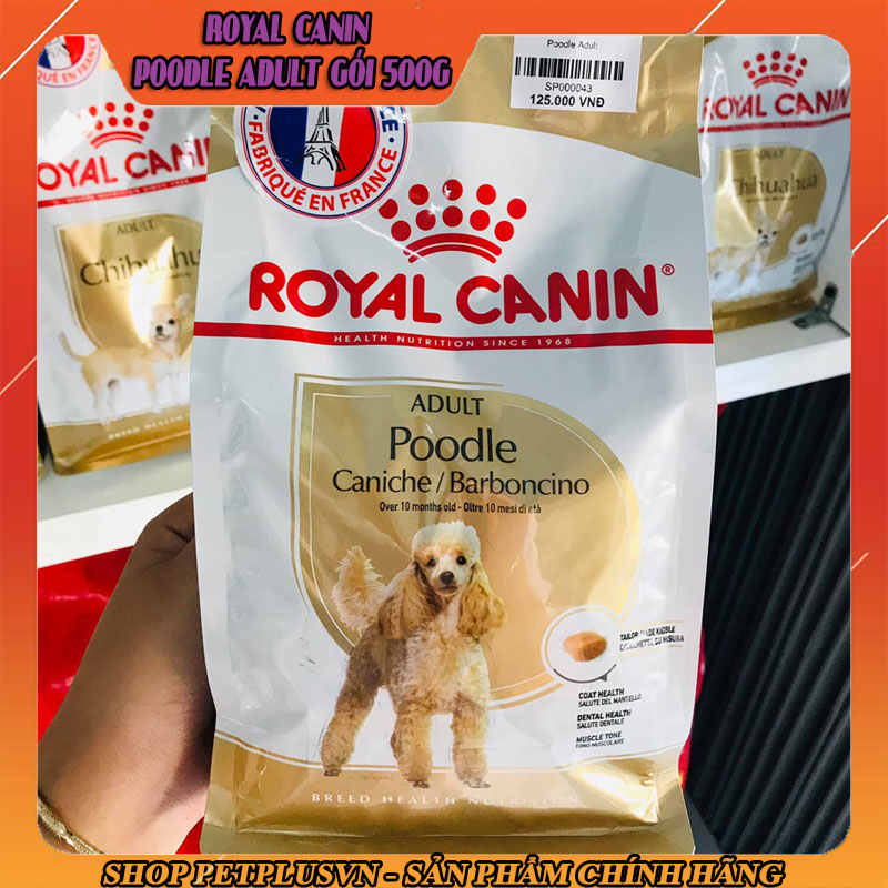 poodle-adult-500g