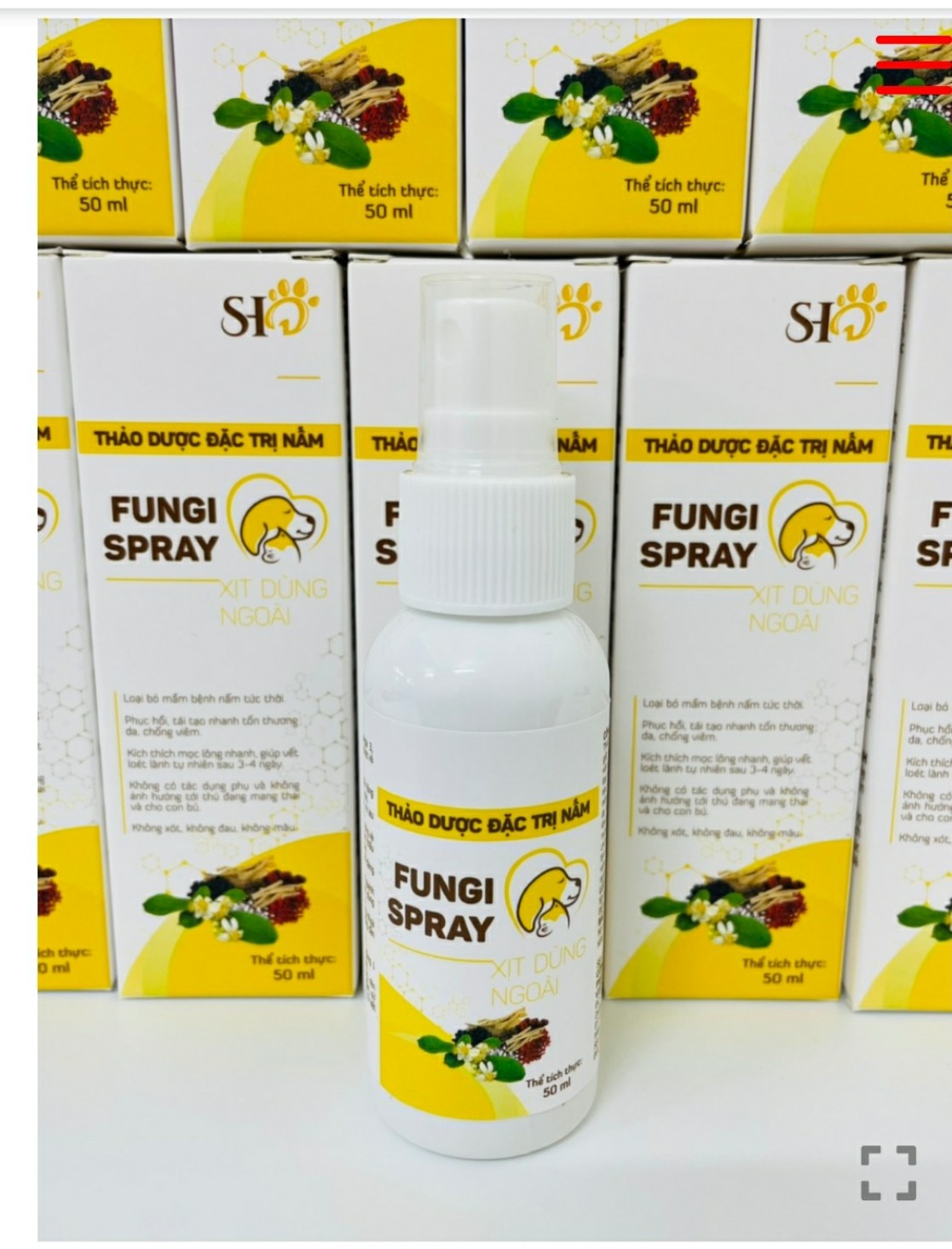 thuoc-tri-nam-fungi-spray