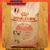 royal-canin-kitten-2kg-thuc-an-cho-meo-con - ảnh nhỏ  1