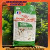 royal-canin-mini-adult - ảnh nhỏ  1