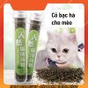 catnip-cho-meo - ảnh nhỏ  1