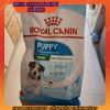 royal-canin-mini-puppy-800g - ảnh nhỏ  1